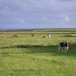 Mesa redonda: Políticas públicas para la diversificación productiva