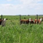 Conversatorio: análisis y propuestas para el sector agropecuario