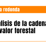 Mesa redonda: Análisis de la cadena de valor forestal