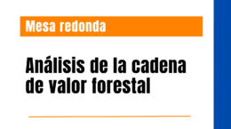 Mesa redonda: Análisis de la cadena de valor forestal
