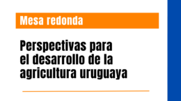 Conversatorio: perspectivas para el desarrollo de la agricultura uruguaya